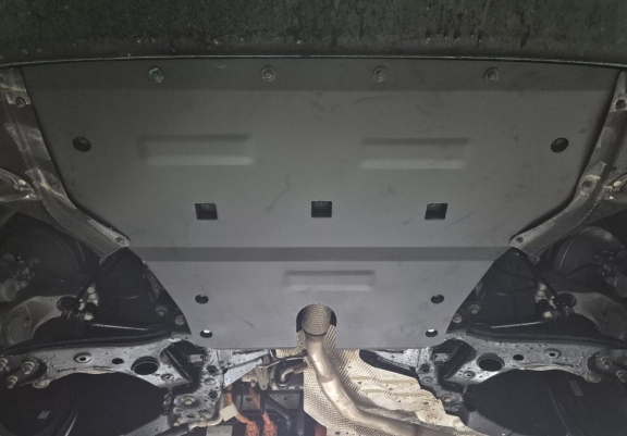 Motor, Versnellingsbak en Radiator Beschermplaat voor Leapmotor C10